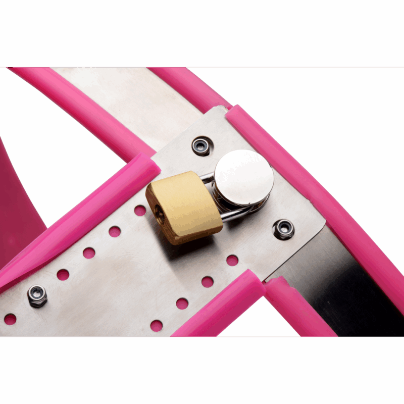 Roestvrijstalen Verstelbare Vrouwen Kinky Chastity Belt - Roze - Afbeelding 4