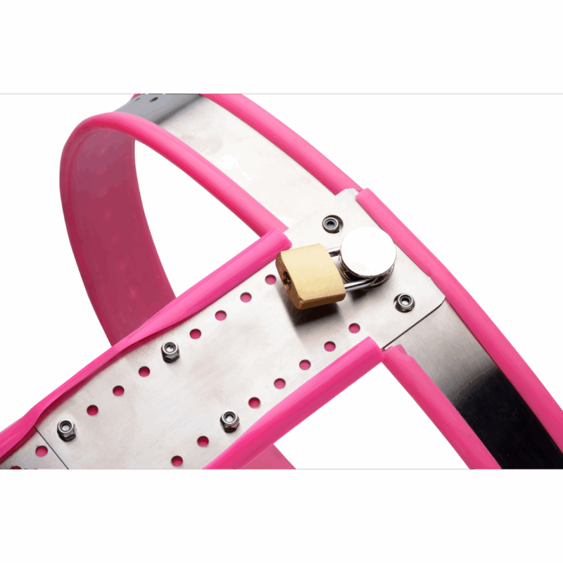 Roestvrijstalen Verstelbare Vrouwen Kinky Chastity Belt - Roze - Afbeelding 5