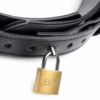 Frog Tie Binding Set - Afbeelding 6