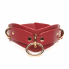 Lover's Restraints Set - Rood - Afbeelding 5