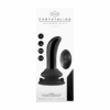 Prickly - Smooth Glass G-Spot Vibrator met Afstandsbediening - Afbeelding 3