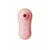 Sucking Vibrator with Pump and Different Attachments - Afbeelding 4