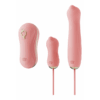 Sucking Vibrator with Pump and Different Attachments