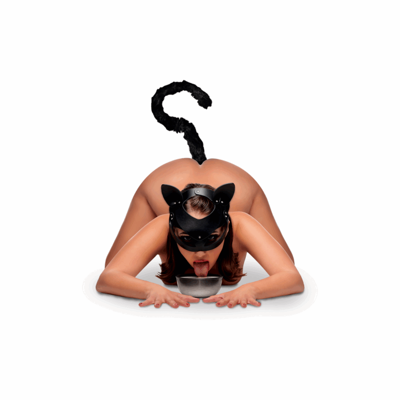 Katstaart - Anale Plug en Maskerset - Afbeelding 6