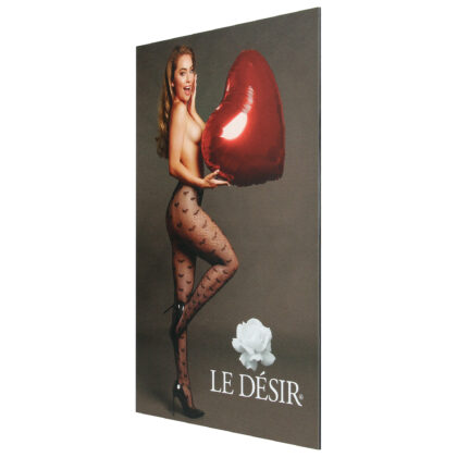 Le Désir Shimmer Marketing Pakket