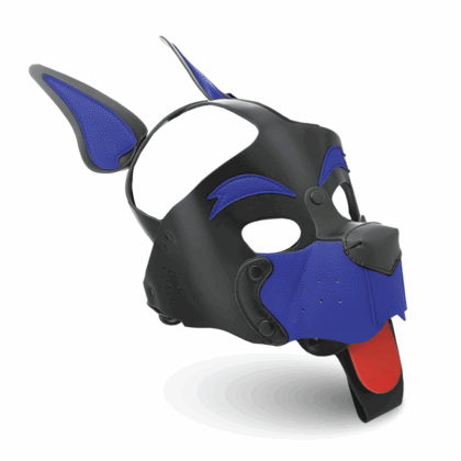 Alpha Dog - Capucha para Cachorros - Azul